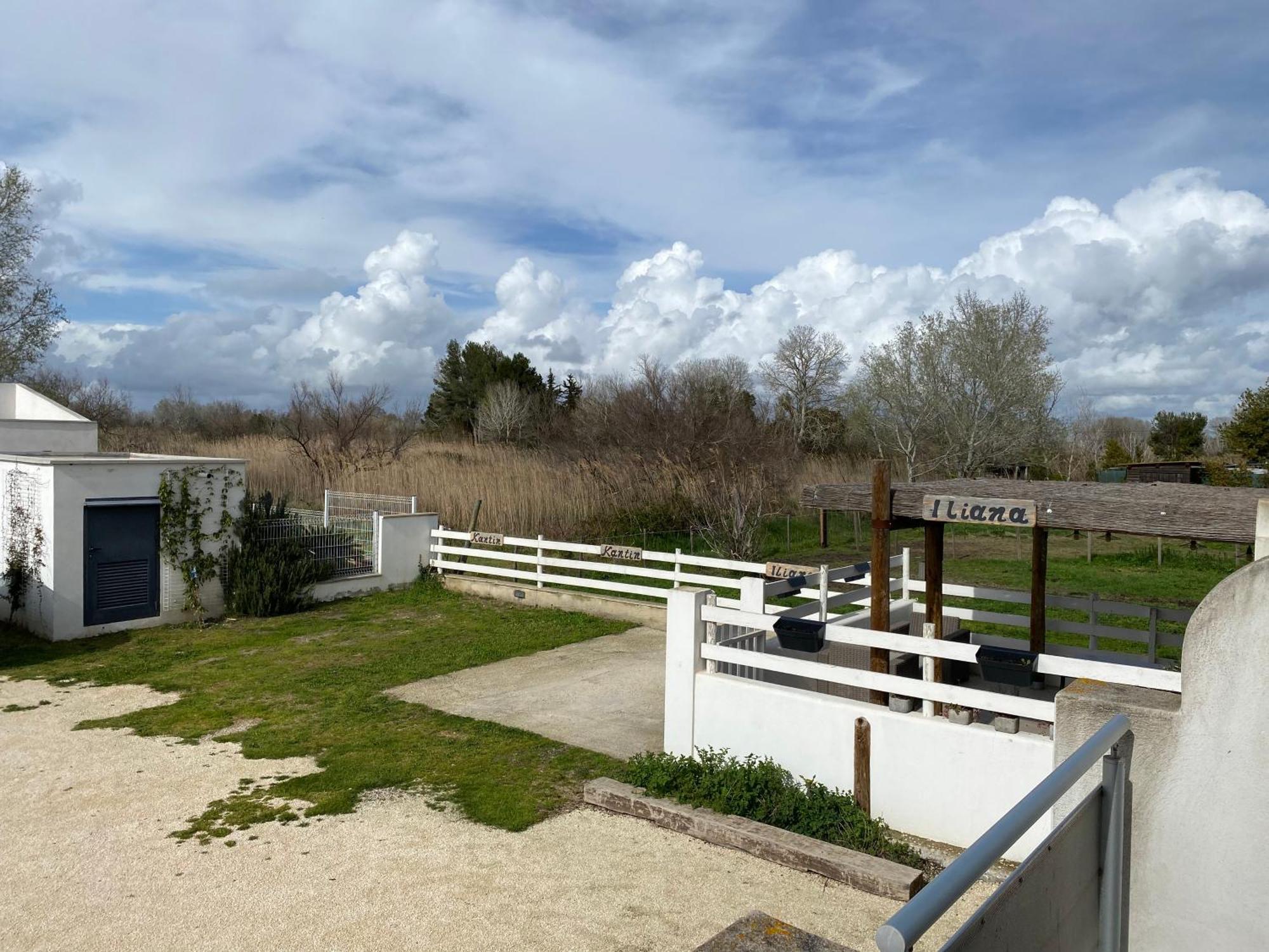 Les Maisons Du Paty Arles Eksteriør billede